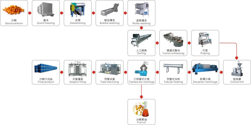 沙棘汁生产工艺_副本.jpg