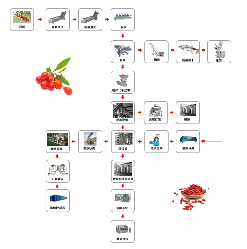 枸杞加工生产线流程图.jpg